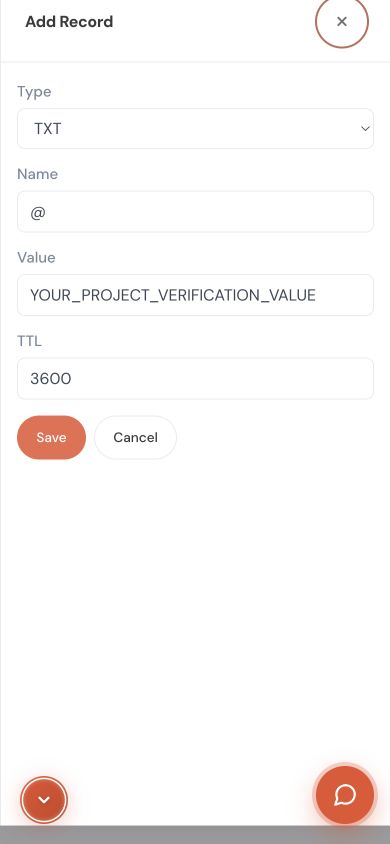 The actual IT PLUS record form with example data. Use the type, name and value from your platform, not the placeholder shown. Keep the default TTL unless the platform specifies otherwise.